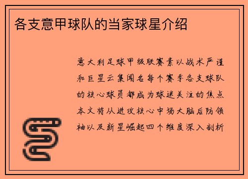 各支意甲球队的当家球星介绍